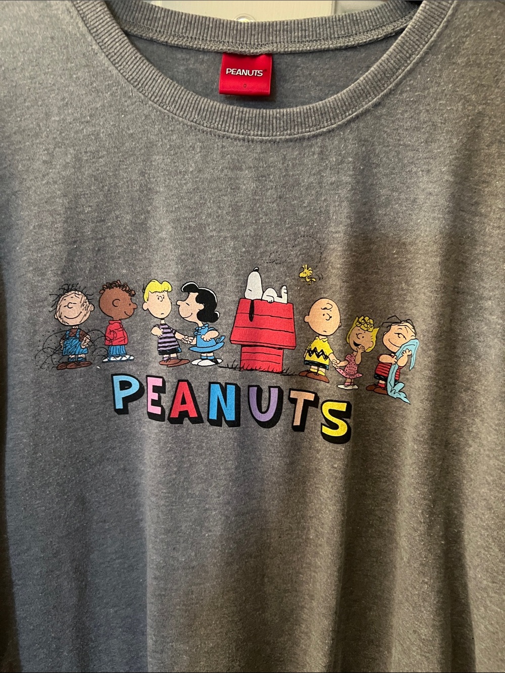 Peanuts Gray Sweatshirt with Colorful Character Graphic size 0 - Picture 4 of 4